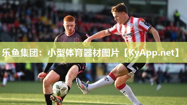 乐鱼集团：小型体育器材图片