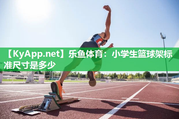 乐鱼体育：小学生篮球架标准尺寸是多少