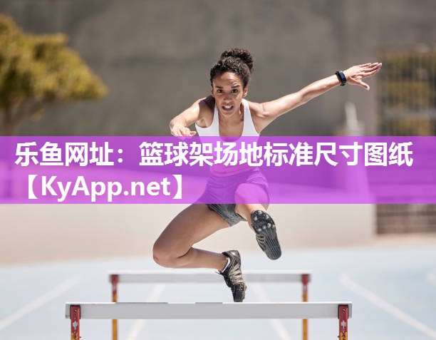 篮球架场地标准尺寸图纸