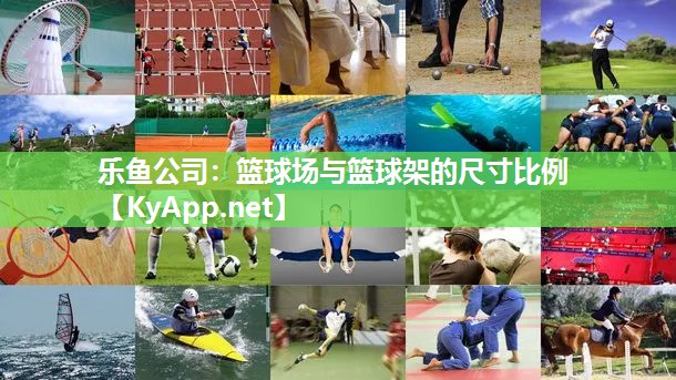 篮球场与篮球架的尺寸比例